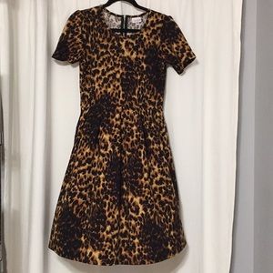 Leopard LuLaRoe Amelia M
